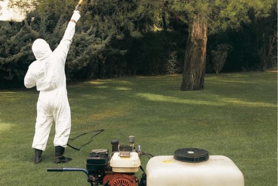 Técnico fumigando árboles de un jardín
