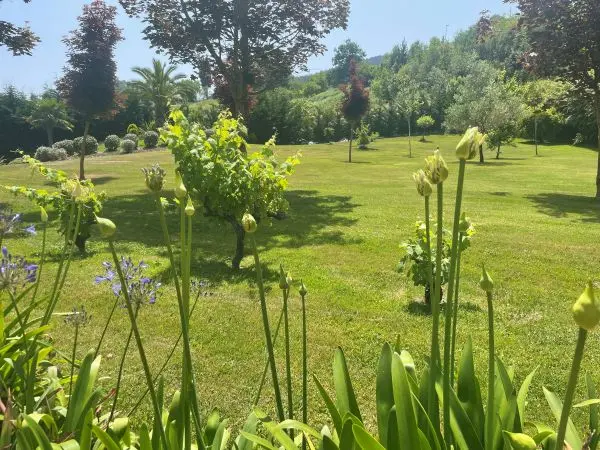 Jardín comunitario con césped y setos recortados