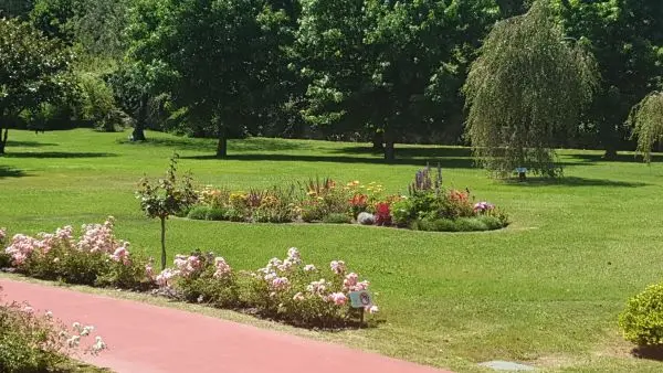 Arriate de flores de temporada junto a rosales y césped cuidado